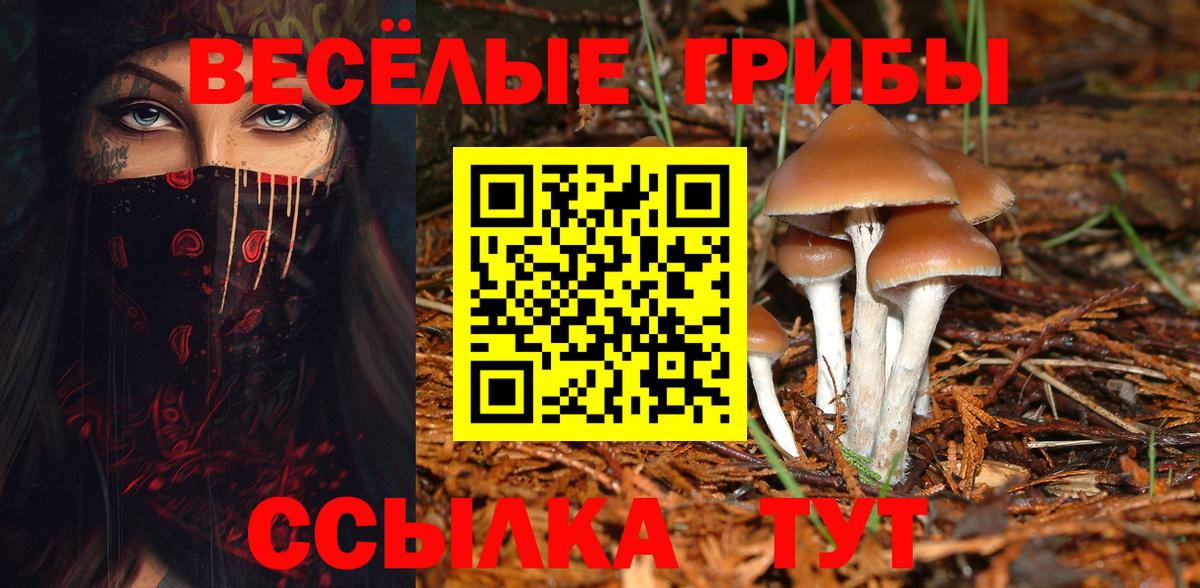 Галлюциногенные грибы Magic Shrooms Балашов